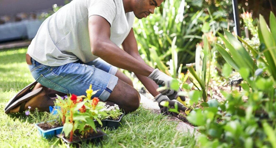 gardening service