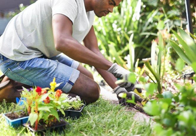 gardening service